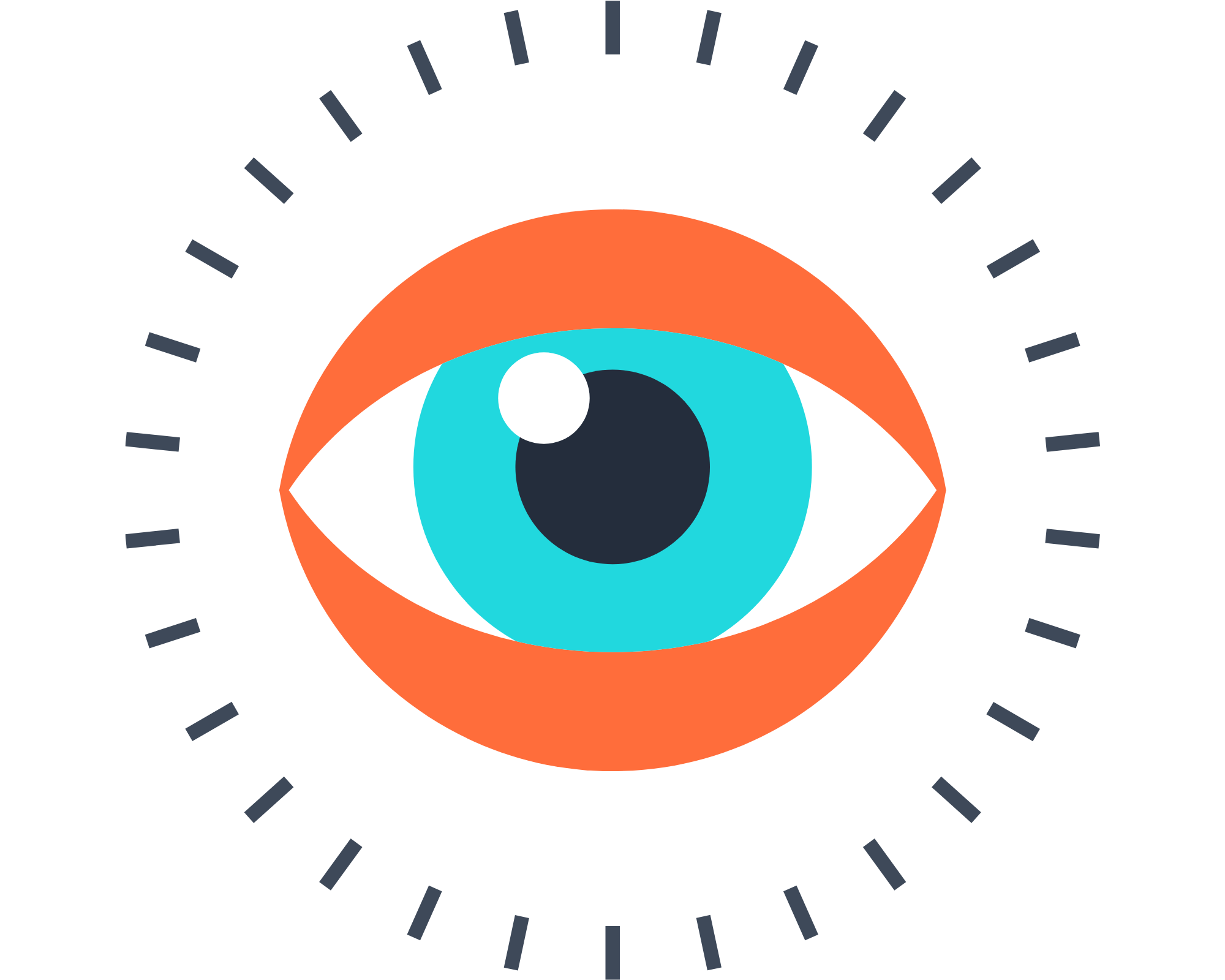 vision